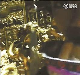 故宫最新爆料事件真相,最新爆料事件真相全解析
