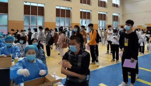 子鹏音乐爆料最新消息,最新动态揭秘，带你领略音乐界风云变幻