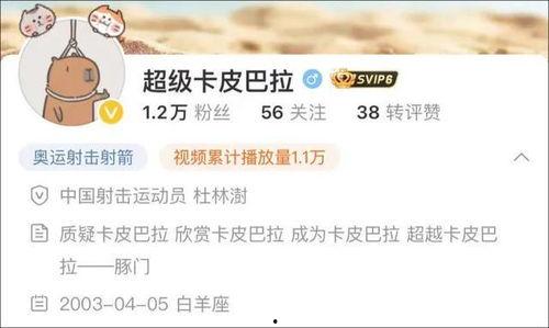 卡哥最新爆料新闻视频播放,最新爆料新闻视频幕后真相大起底