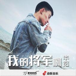 我的将军在线播放,再现古代战场传奇