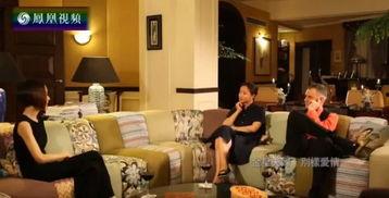 金星豪宅爆料视频大全集,视频大全集深度解析