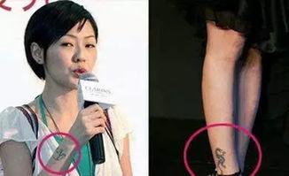 大象的刺青那个明星,揭秘明星背后的故事与传奇