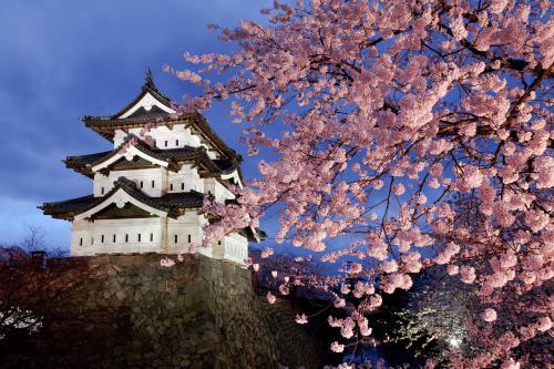 日本carribean官网,日本Carribean度假胜地全景解析