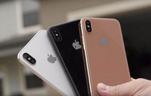 日本土岐苹果,日本果香四溢的甜蜜传奇