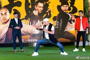 赵文卓武术视频,传承国术，力与美的完美演绎