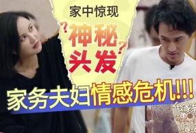 陈晓晓感情最新爆料,揭秘背后真相与情感纠葛