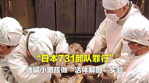 解剖实验视频,人体结构奥秘大揭秘