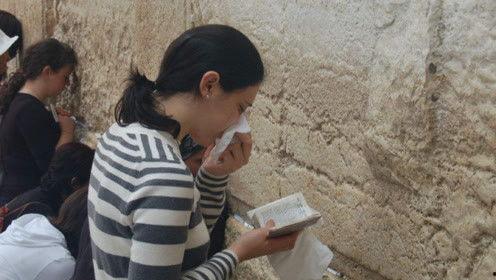 娱乐吃瓜君妈宝男